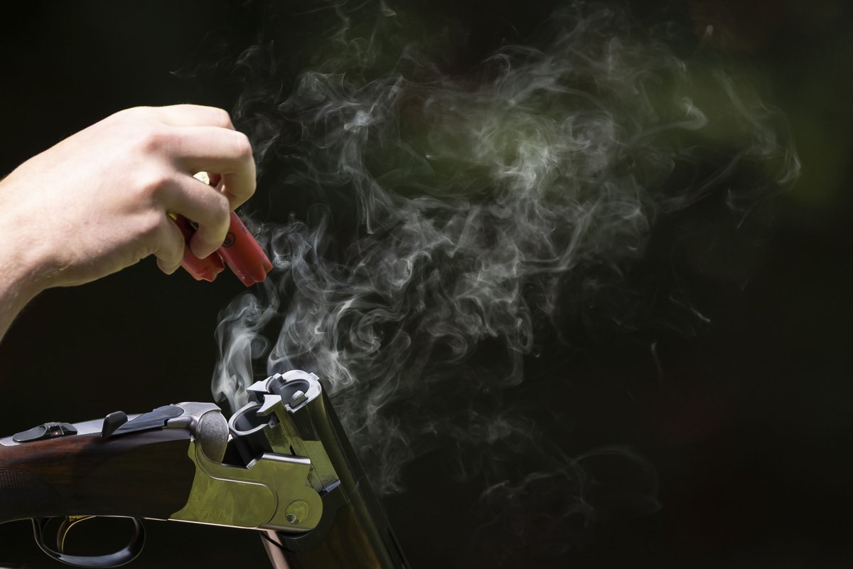 DeutscherJagdverband tweet media