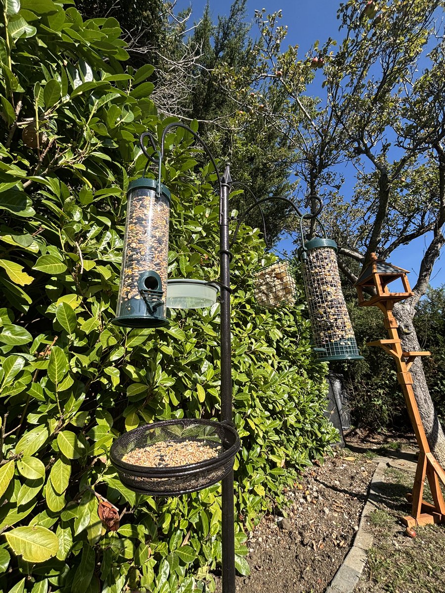 To some this may be meaningless but I’ve completed the bird area in my garden. It’s all centred around the apple tree. I have high hopes that it’s the beginning of a magical wildlife haven. I’m so excited to share this with my daughter as she grows up🤗

#AnimalsCount❤️