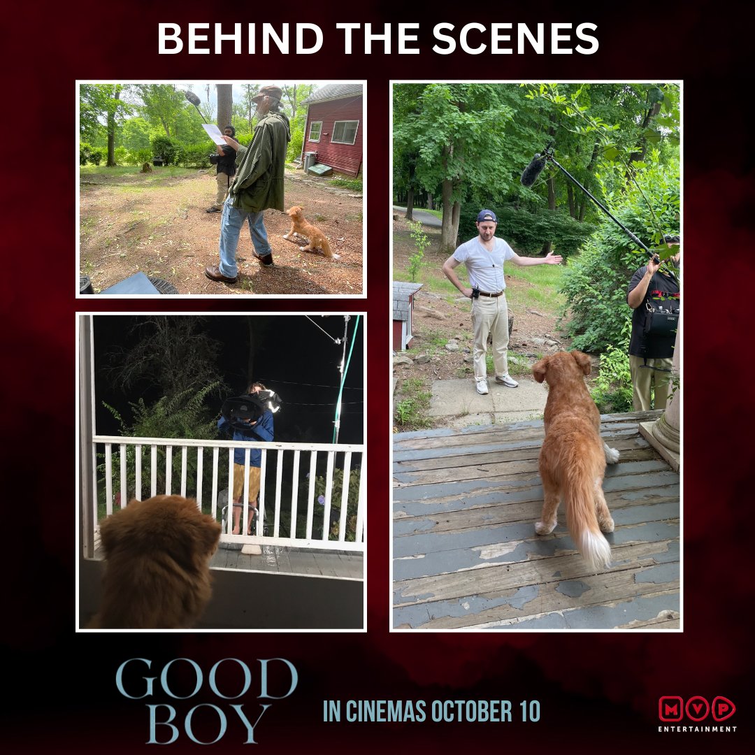 A little peek behind the curtain… making #GoodBoy was all about love, patience, and plenty of treats!
#GoodBoy In cinemas 10th October.
#GoodBoy #PVRINOX #Cinepolis #newmovie #newrelease #doglover #horrormovie #thriller #horror #GoodBoyFilm #trending #MVPEntertainmentIndia