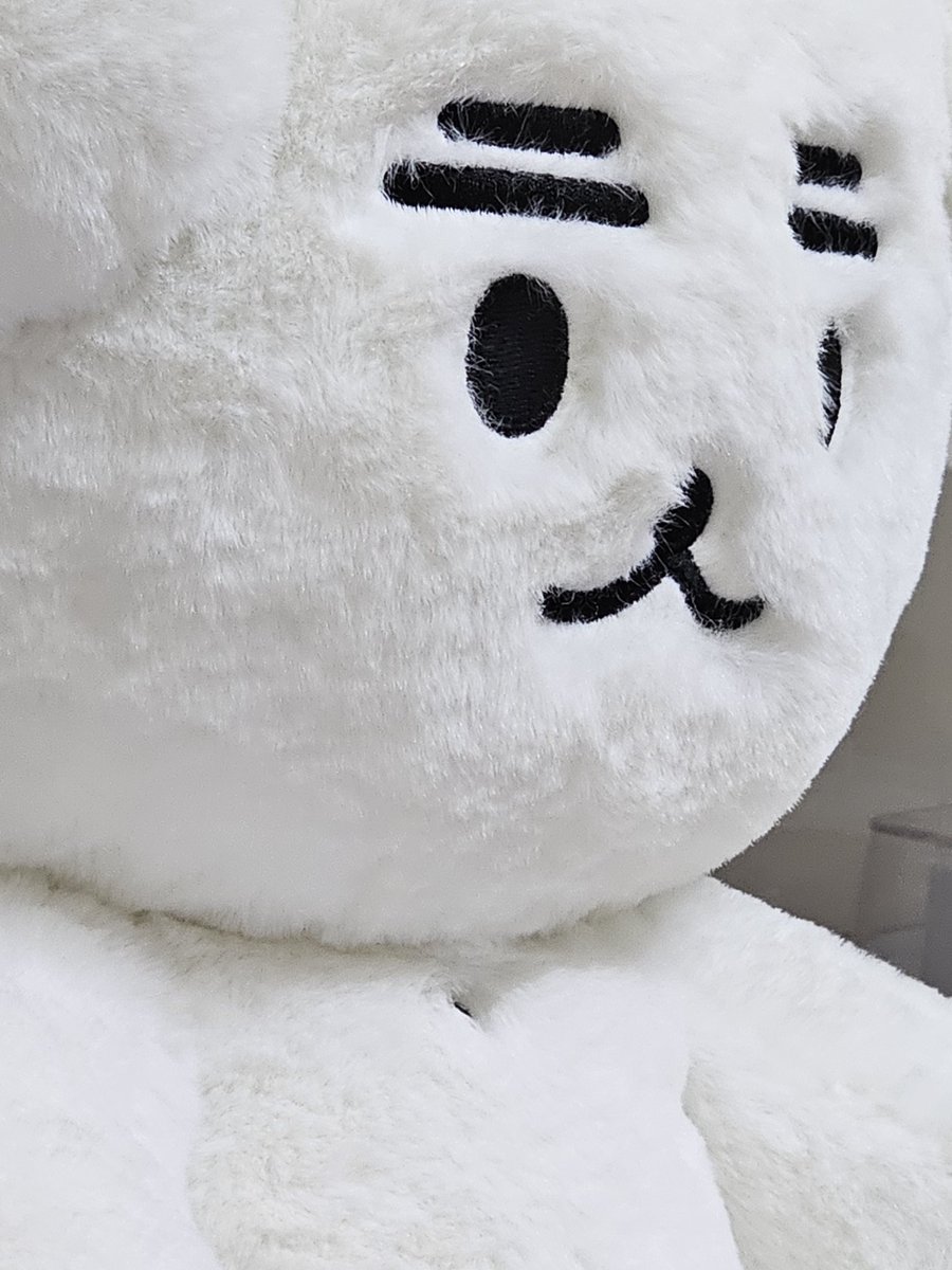 멈무쫑 tweet media