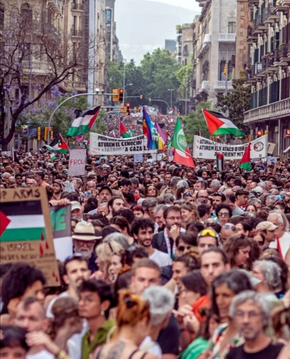 martagarciagim2's tweet photo. @yousef_ki1 @ljcarolv Free Palestine🇵🇸. https://t.co/AZgkjeTcpB