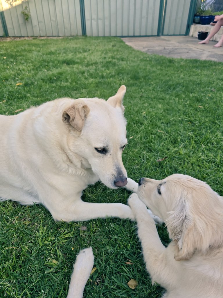 shaun bennison tweet media