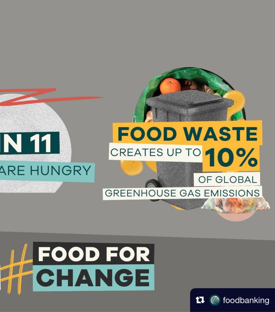Her 11 kişiden 1’i açlıkla karşı karşıya kalırken, tüm gıdaların üçte biri israf ediliyor.

Mevcut durumu değiştirme zamanı.

Gıda bankacılığı aracılığı bir tarafta gıda kaybı ve israfını azaltırken diğer tarafta yoksullukla mücadele ediyoruz.

Gıda Kaybı ve İsrafı Farkındalık