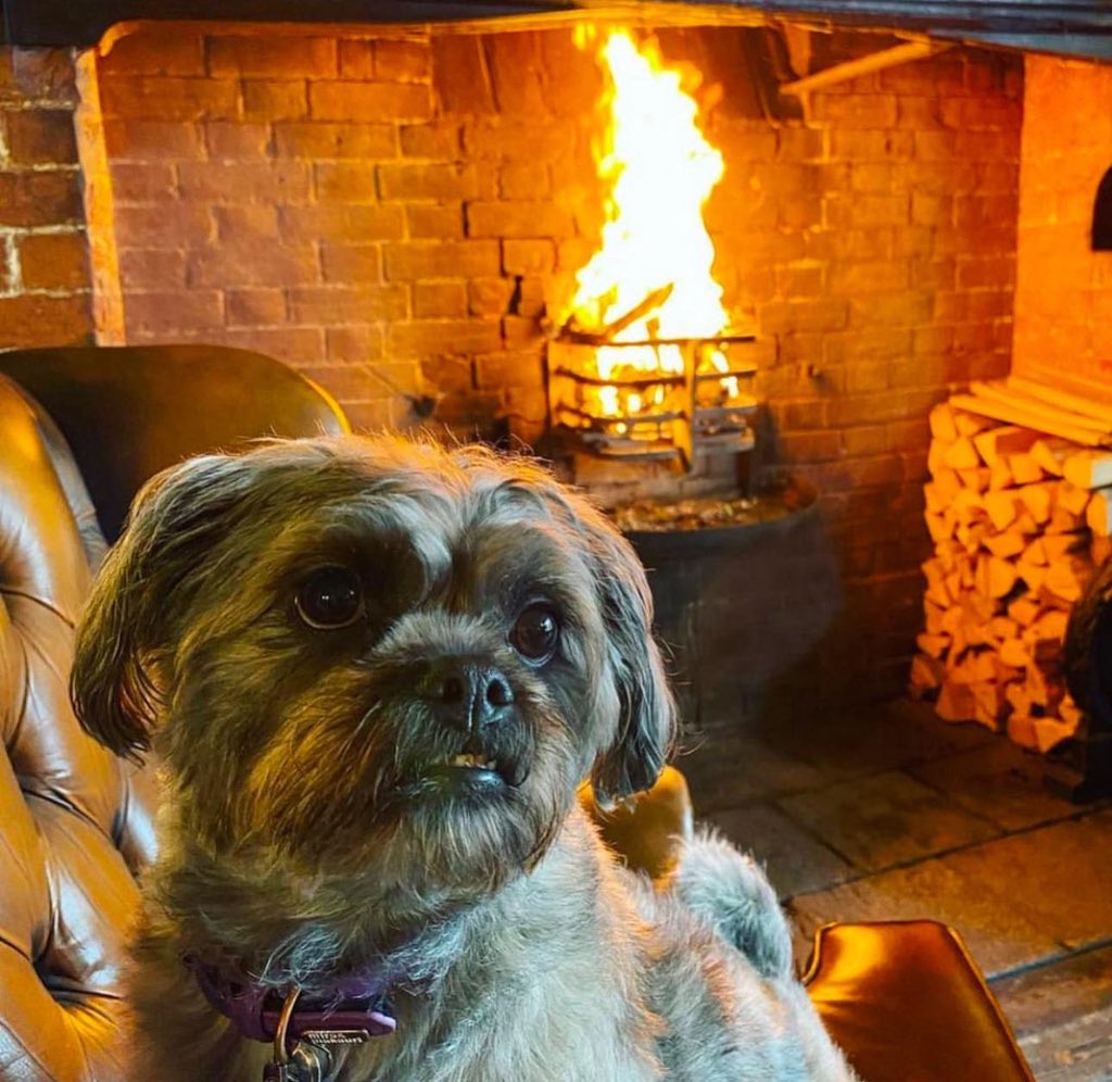 We love your four-legged friends almost as much as you do, &amp; that’s why we’re always happy to welcome them into our pub. 

We offer water bowls &amp; plenty of spaces for them to rest their furry heads.

We’ll see you &amp; your doggies very soon!

#shepherdneame