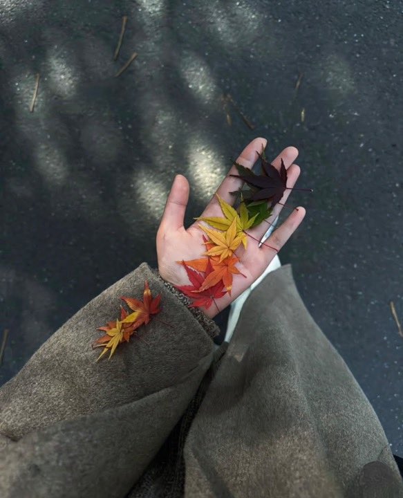 GM 🔆

Create your own Rainbow everyday 🍃

Happy Uptober 💚