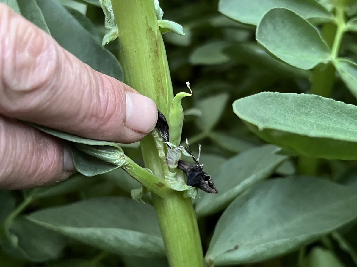 Jarrod Amery tweet media