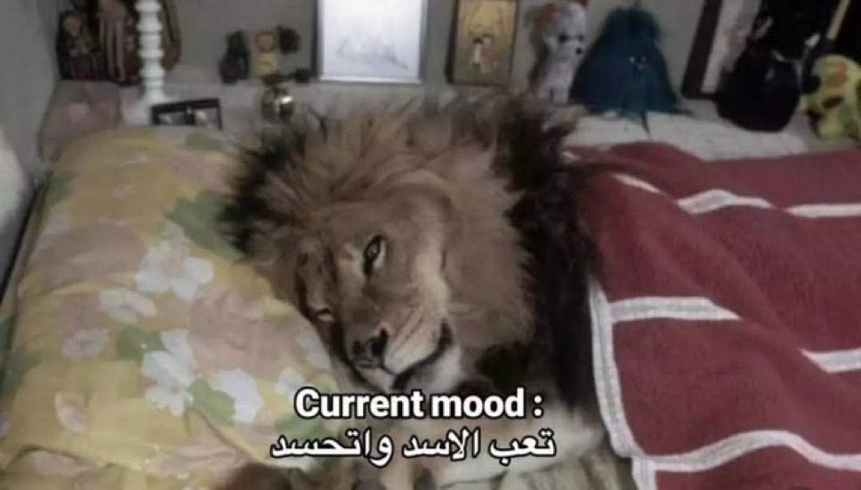 ميّادهـ tweet media