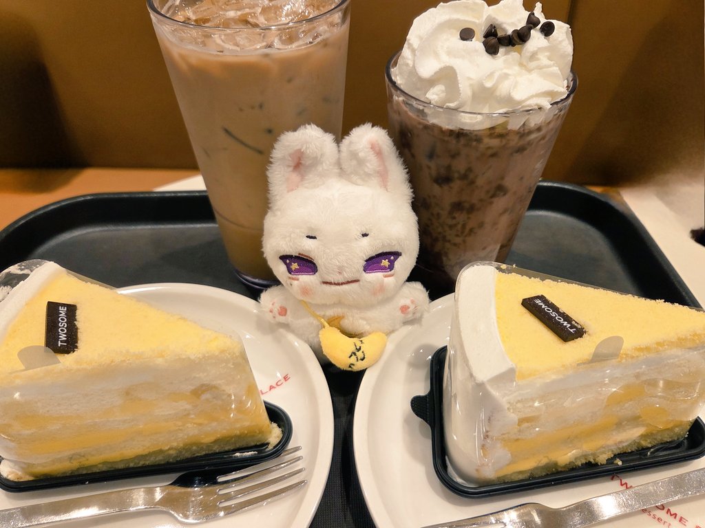 오랜만에 달삐니랑 카페에 와서 케익이랑 음료 먹었댜😆 진짜 넘 맛있었댜😋 달삐나 담에 또 오쟈😉 #달삐니 #카페 #문빈인형 #문빈 #MOONBIN #MOONBIN인형 #빈이 #아스트로 #ASTRO