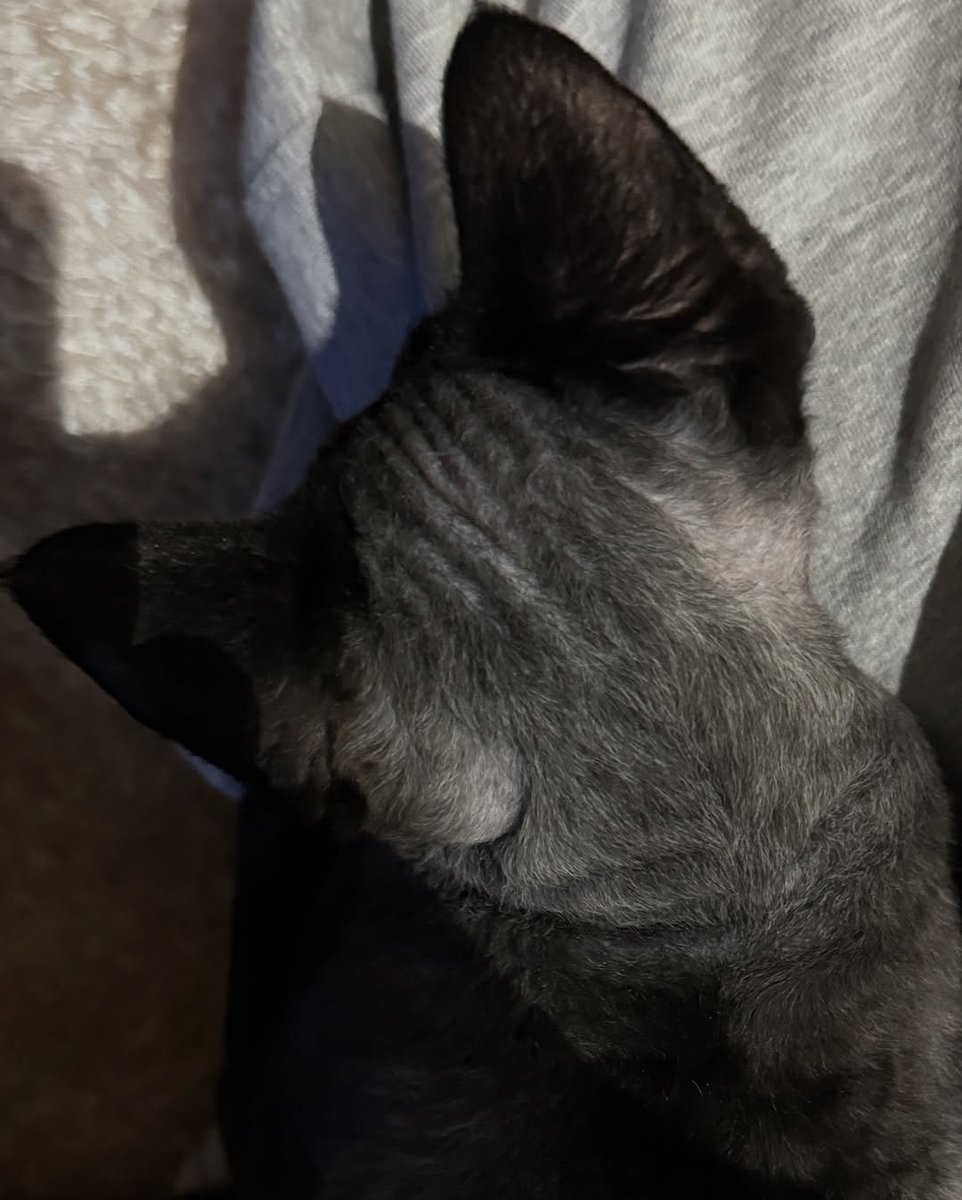 kiimpst's tweet image. Today's dump.