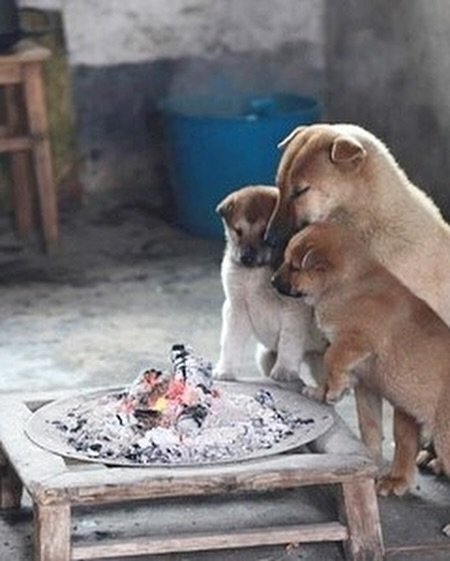 kiimpst's tweet image. Today's dump.