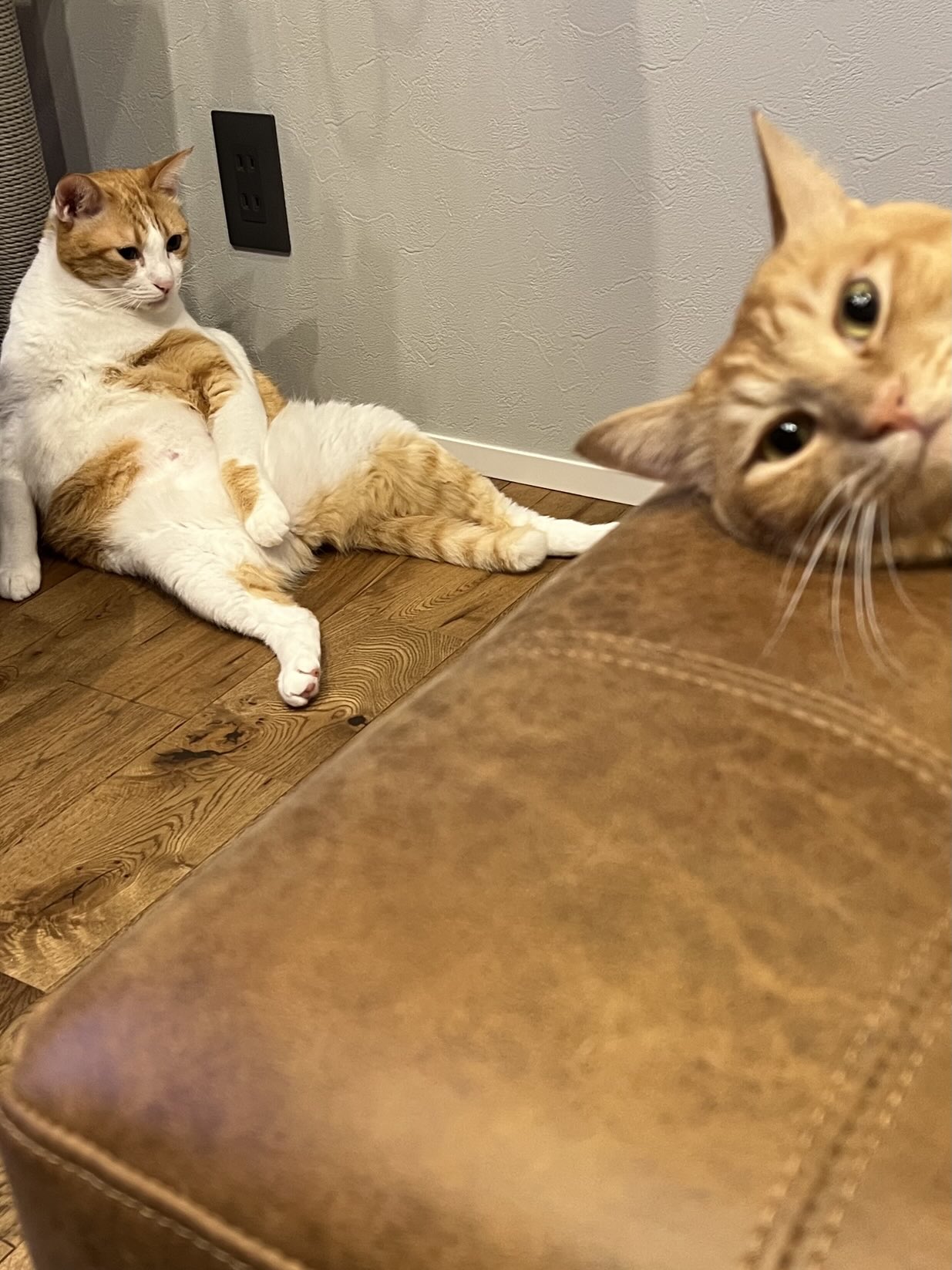 ぺです☺︎ まんぱつ®️（非公式） on X