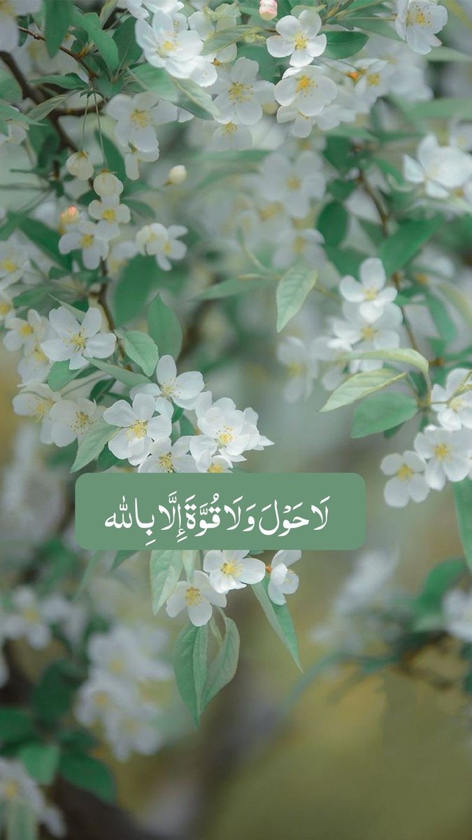 يكتب الآن (@tad_2) on Twitter photo 