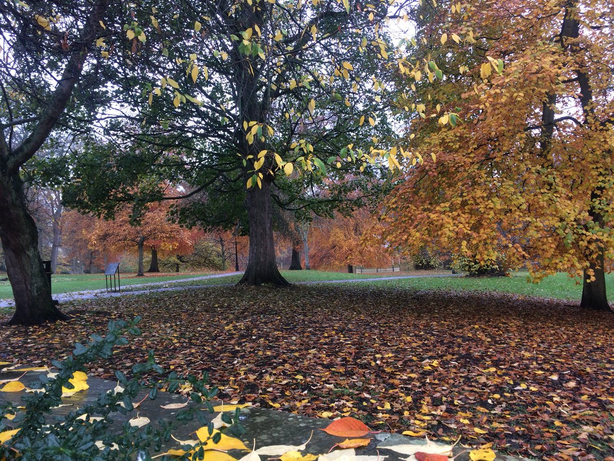 OxfamHexham's tweet image. Hexham looks wonderful in October
Our historic market town has so much to offer its visitors including not only one but two Oxfam shops
Find us on Battle Hill a short stroll from the Abbey
#Oxfam #charity #shops #Hexham