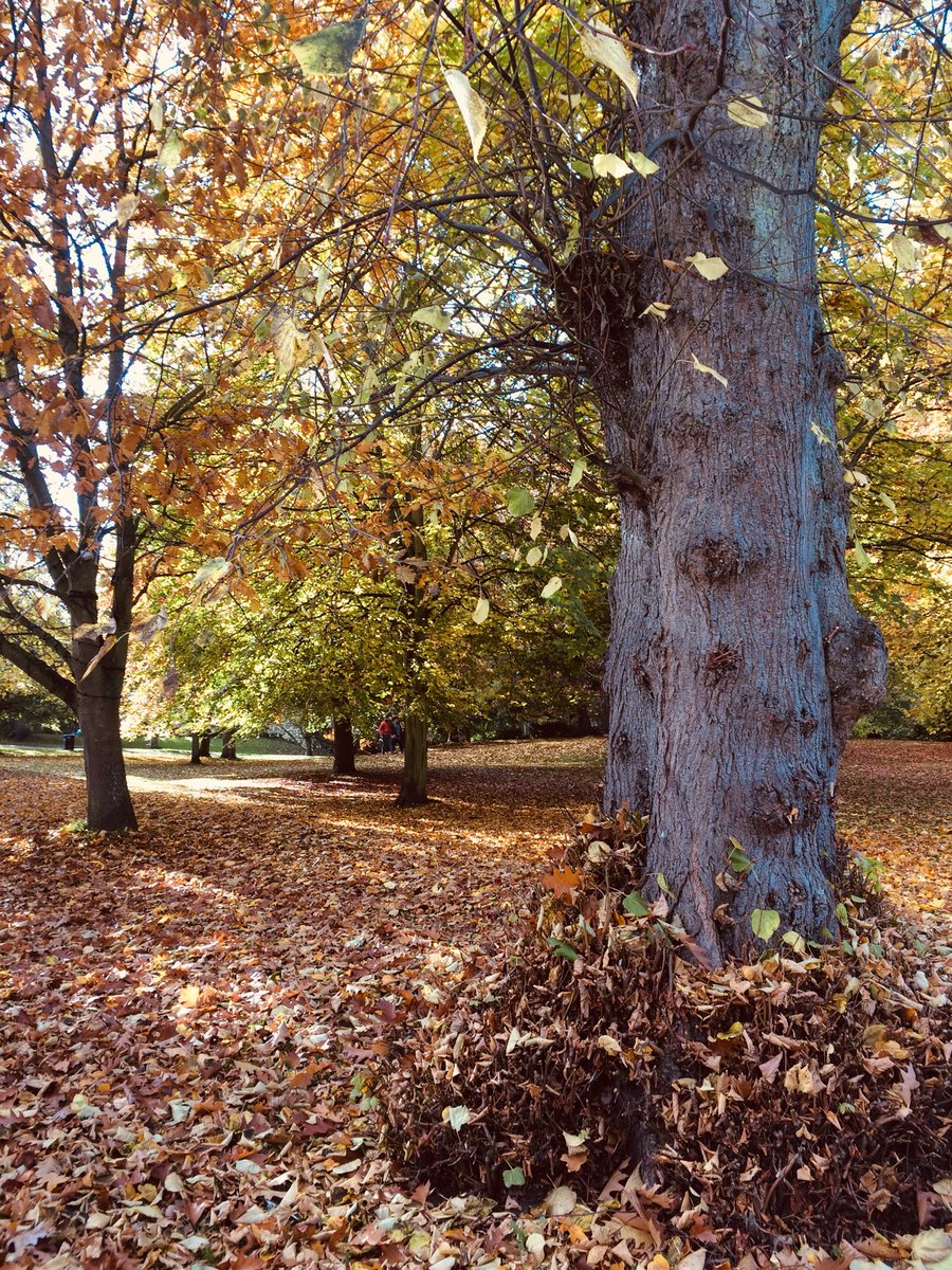 OxfamHexham's tweet image. Hexham looks wonderful in October
Our historic market town has so much to offer its visitors including not only one but two Oxfam shops
Find us on Battle Hill a short stroll from the Abbey
#Oxfam #charity #shops #Hexham