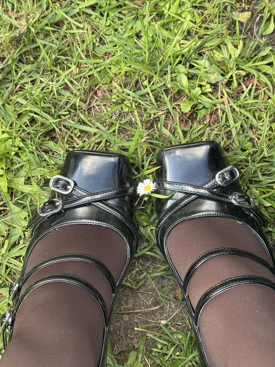 emephg's tweet image. démontage de piano, code et pelouse