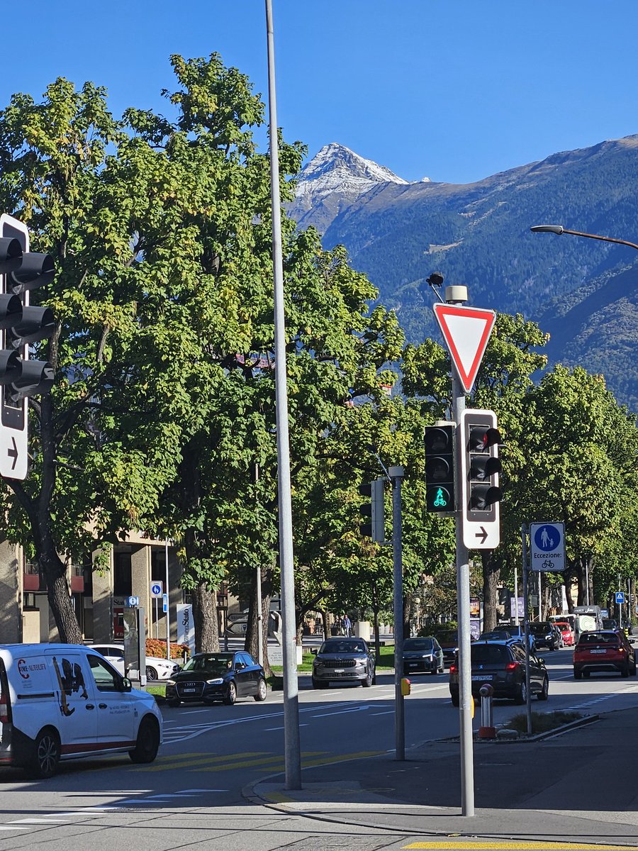 Delphine Muriaux tweet media