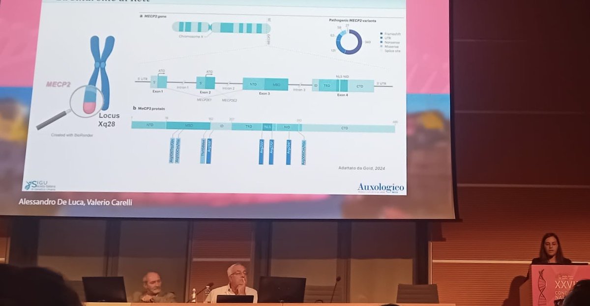 Istituto Auxologico Italiano tweet media