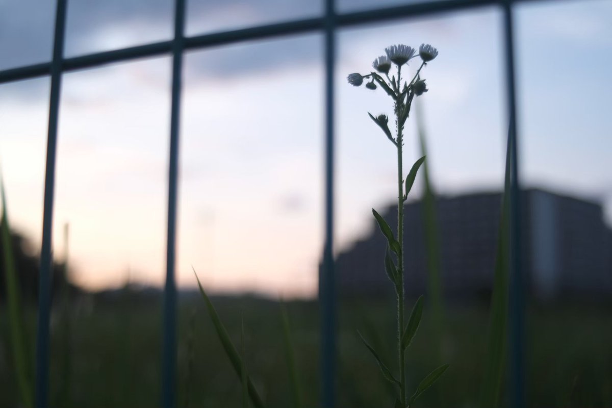 riverflowsagain's tweet image. 