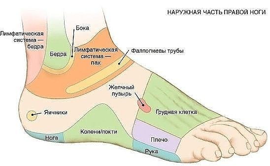 Экологичное Сознание ЭкоСознание натуропатия tweet media