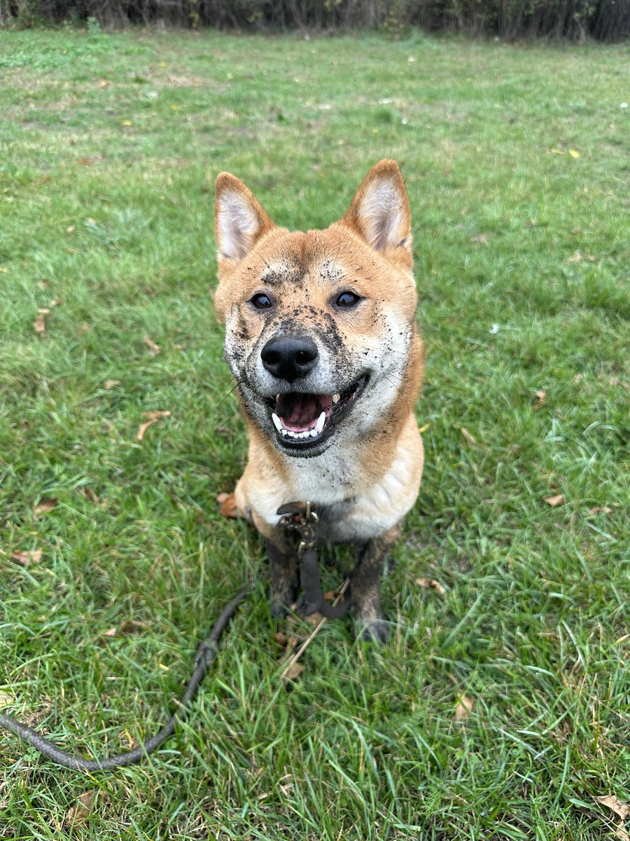 😭😭😭😭😭😭😭😭😭😭😭😭😭😭😭😭😭😭😭😭😭😭😭😭😭😭😭😭😭😭😭😭😭😭😭😭😭😭