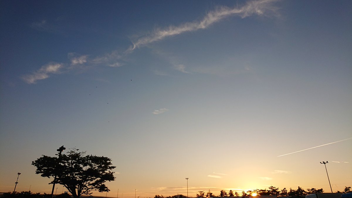 平塚万博まであと3日！もう間もなくです！この日限りの様々なジャンルのアーティストによる共作、共演の一幕。今回も沢山アレンジしたり作りました。是非とも堪能しに来て下さい✨