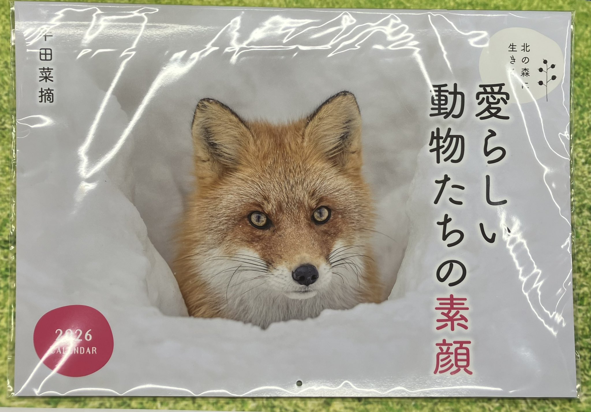 ウサギの医学　緑書房 ウサギの医学 株式会社 緑書房