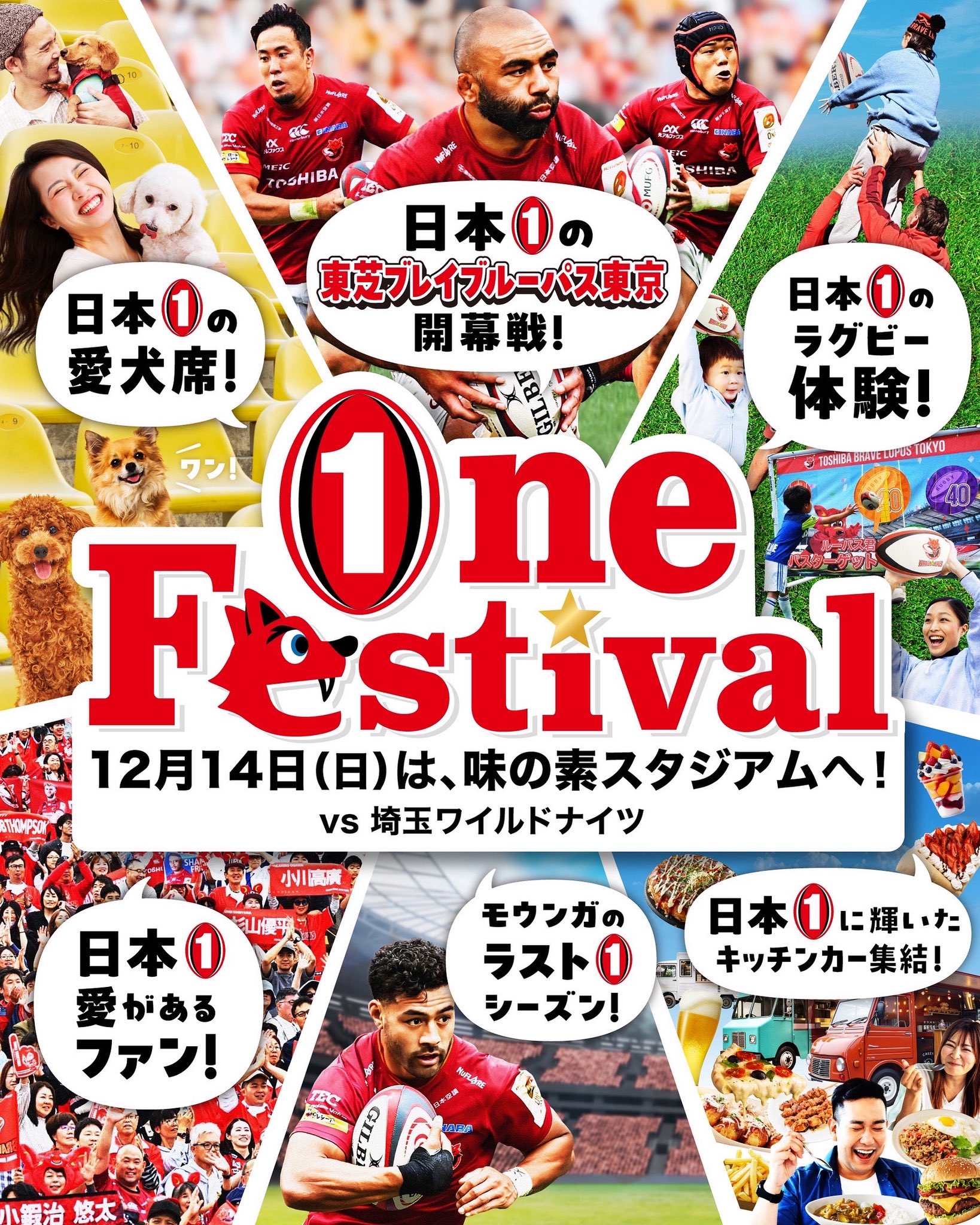 東芝ブレイブルーパス東京今季支給プルオーバー XL RUGBY FREAKS / ラグビー リーグワン 東芝ブレイブルーパス東京