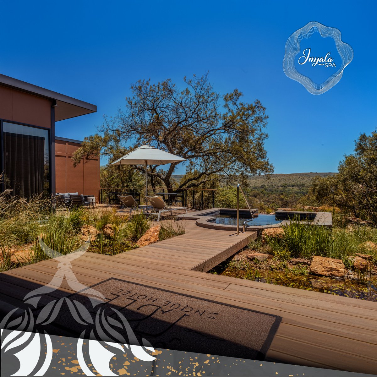 CradleHotel's tweet image. Escape to serenity at the luxurious Inyala spa, where every moment is designed for your relaxation and renewal. 🌸✨

Book your spa experience today!
Contact us: 📞 +27 87 353 9599 📧 spa@thecradle.co.za

#CradleBoutiqueHotel #SpaSerenity #WellnessRetreat