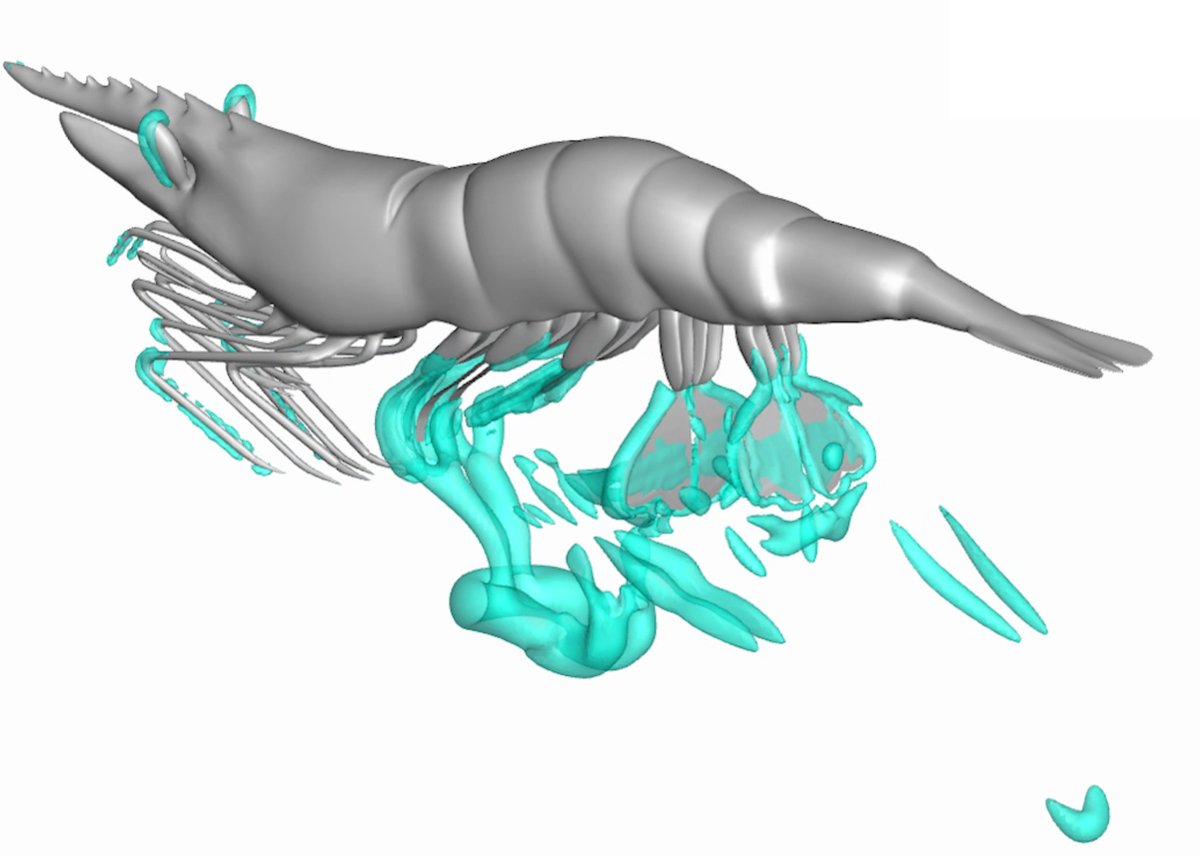 PhysRevFluids's tweet image. 🗓️ From the September issue
(1) go.aps.org/3VJw8KK
(2) go.aps.org/489wX70
(3) go.aps.org/4h8AsNz
(4) go.aps.org/3INKTsY

Find these and all of the articles published in PRFluids during the last month at go.aps.org/4pMrCIT !

#FluidDynamics