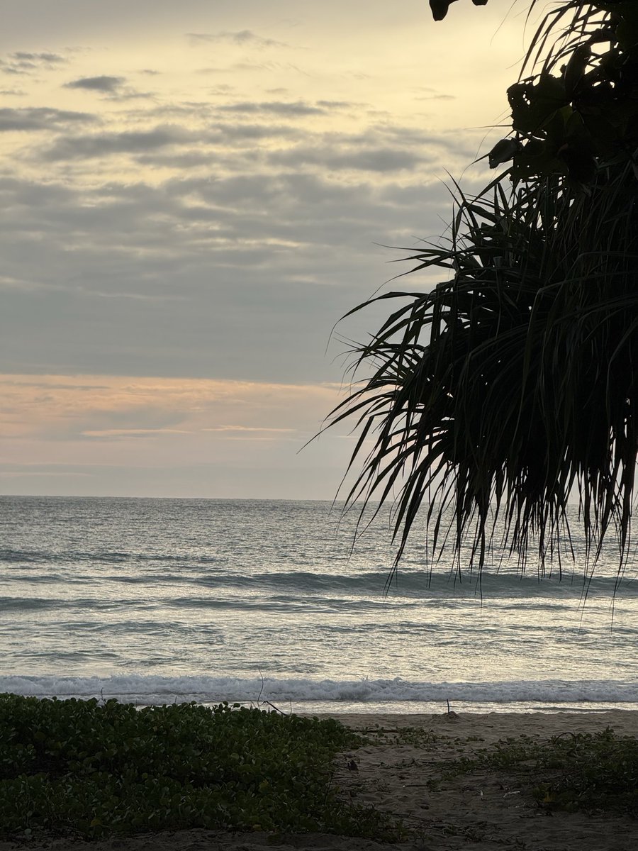 Onejunpd's tweet image. มัน ดี 💦
#ภูเก็ต