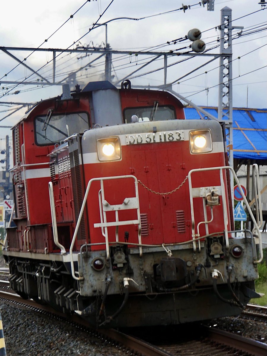 nagaryo1007's tweet image. #DD51  #EF65  #PF
2025.10.1  
単機回送  単9783 DD51-1183
梅小路配給　配7993レ
EF65-1132+チキ2B
仕事が早く終わったので山﨑でDD51 を撮り、
向日町でPFを撮って来ました。