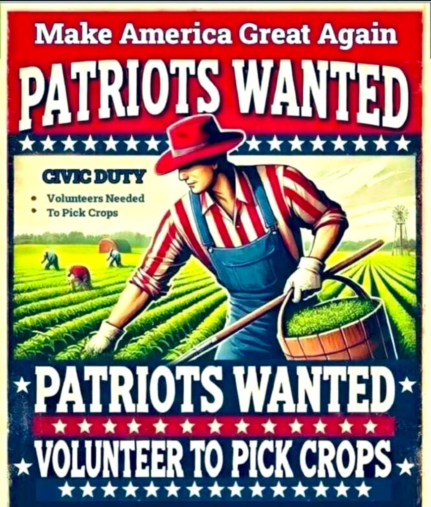 🇺🇸 Fella Tom 🇺🇦 tweet media