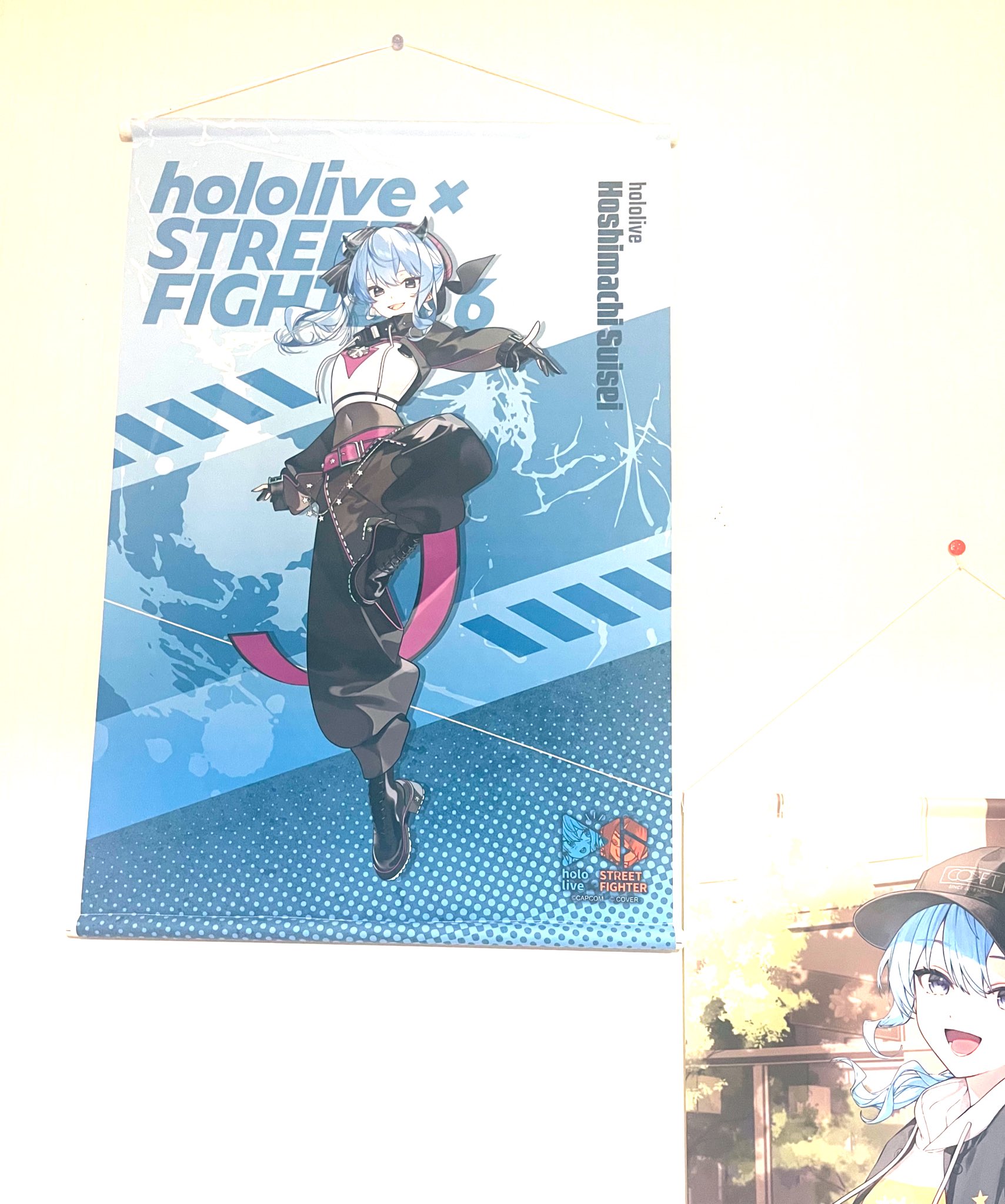 Kyokotanすーちゃんの1年のタペストリー Kyokotanすーちゃんの1年のタペストリー されん on X: