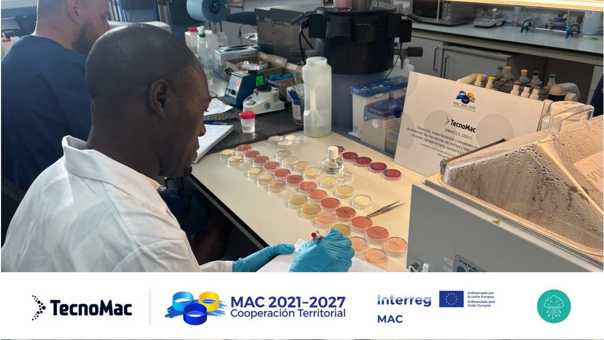 TecnoMac tweet media