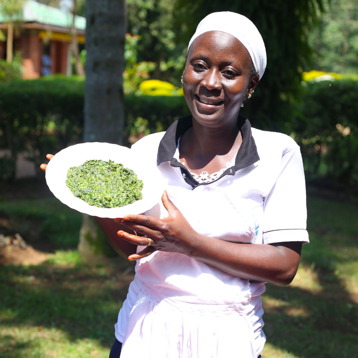 Every plate is a choice &amp; every choice shapes tomorrow. This #WorldVegetarianDay, we reaffirm our mission at IREN Growthpad to make indigenous vegetables accessible, safe &amp; sustainable for every household. Together, lets grow healthier communities and a resilient Africa