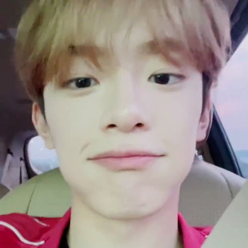 nan🐧𐚁๋࣭⭑ֶָ֢ 𝐅𝐫𝐞𝐞 𝐅𝐚𝐥𝐥𝐢𝐧𝐠 ⋆. 𐙚 ˚ tweet media