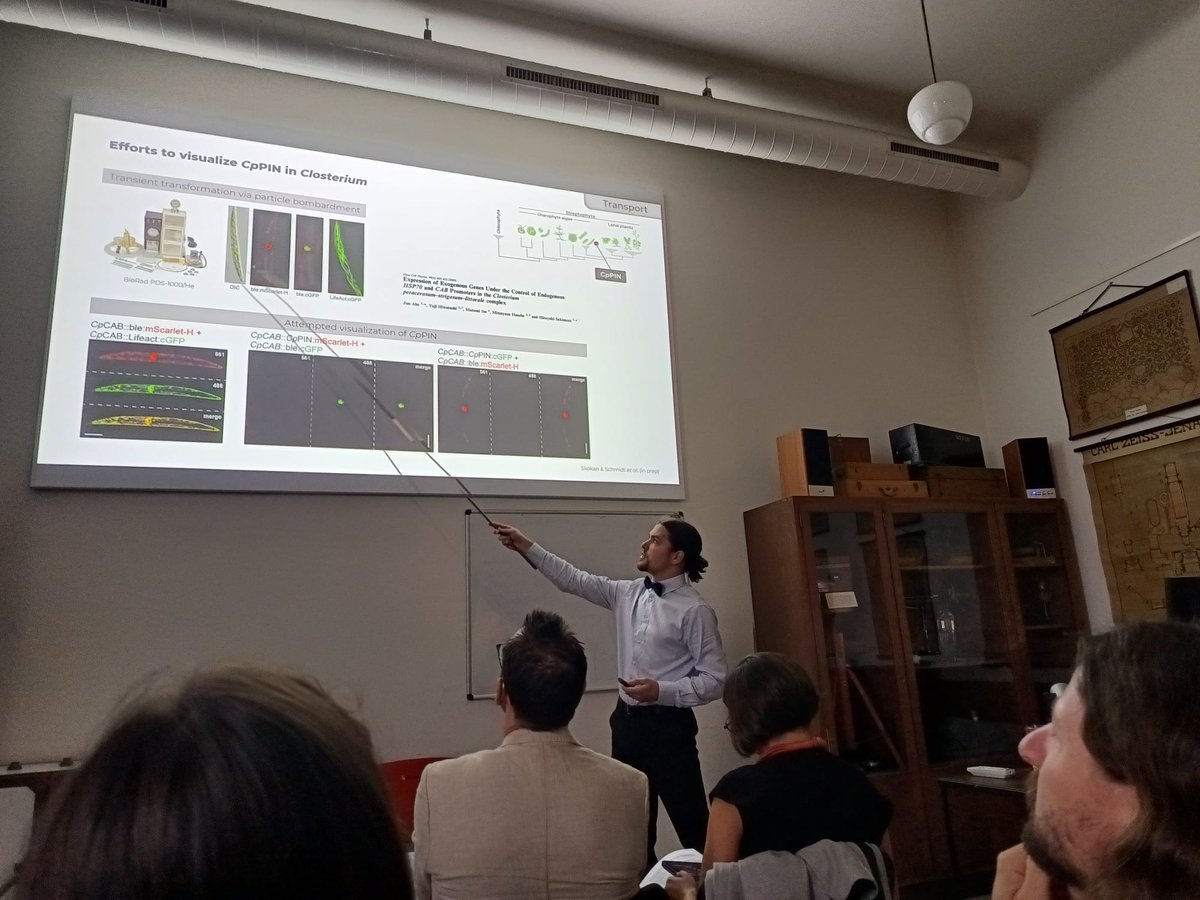 vojtech_schmidt tweet media