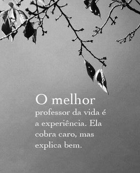 manuelkobel's tweet photo. BOM DIA A TODOS! https://t.co/UxMtzJdASU