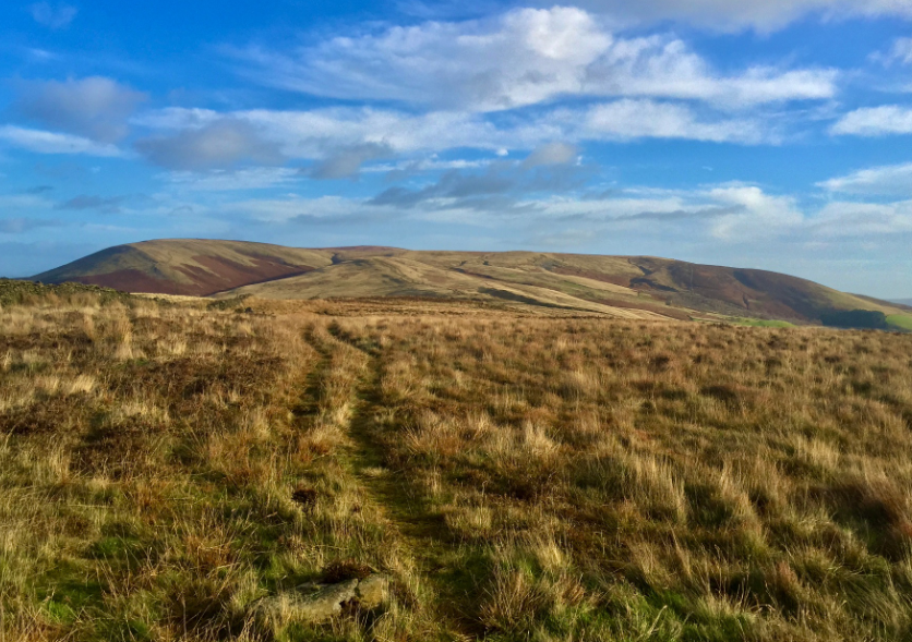 Pleased to learn that as of yesterday burning of deep peatland of 30cm has been banned.  Equal to an area the size of Devon across England.  This is good news for biodiversity and restorations of our upland areas.  <a href="/Lancswildlife/">Lancashire Wildlife Trust</a>  <a href="/MaryCreagh_/">Mary Creagh CBE MP</a> <a href="/DefraGovUK/">Defra UK</a>