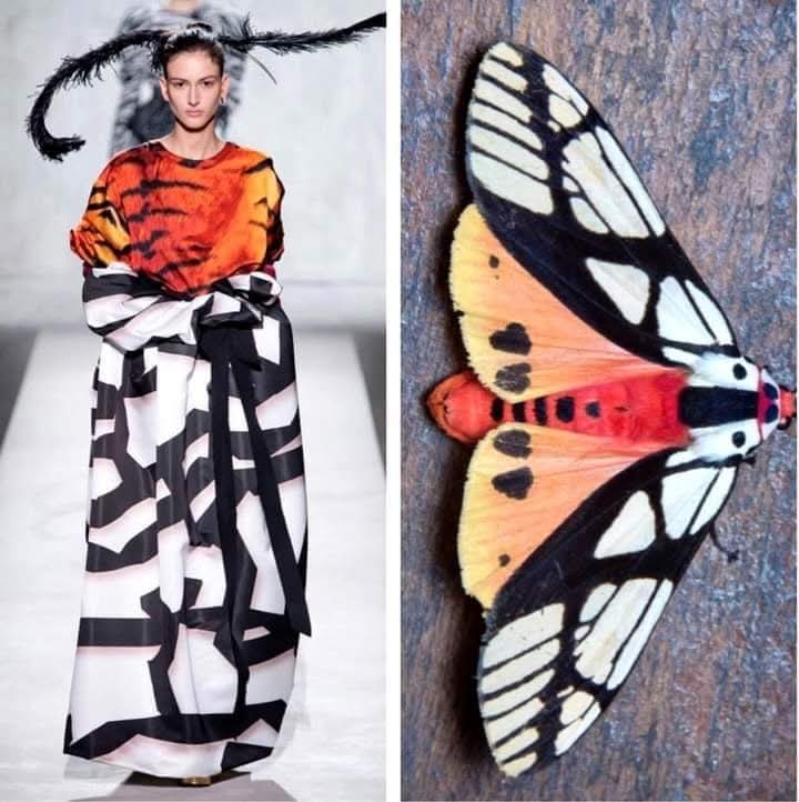 (Cianci Ulises) (@cianciulises) on Twitter photo 