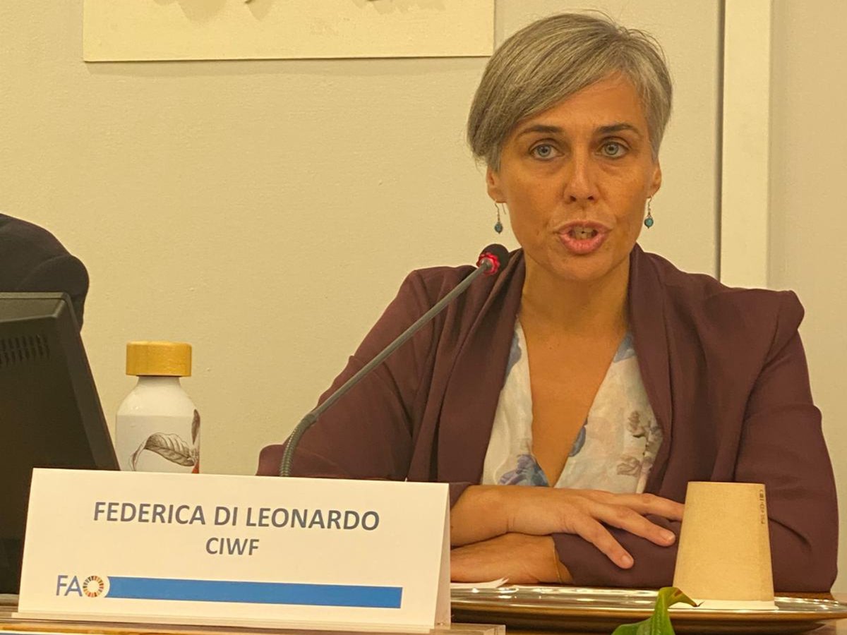 CIWF_Global's tweet photo. 🗣️ At the @FAO Conference today, Compassion’s Dr Christopher Browne moderated the Innovation Forum, while Federica di Leonardo spoke at the Global Agenda for Sustainable Livestock side event, calling for inclusive collaboration and a One Health approach. https://t.co/Z8TiUWqXup