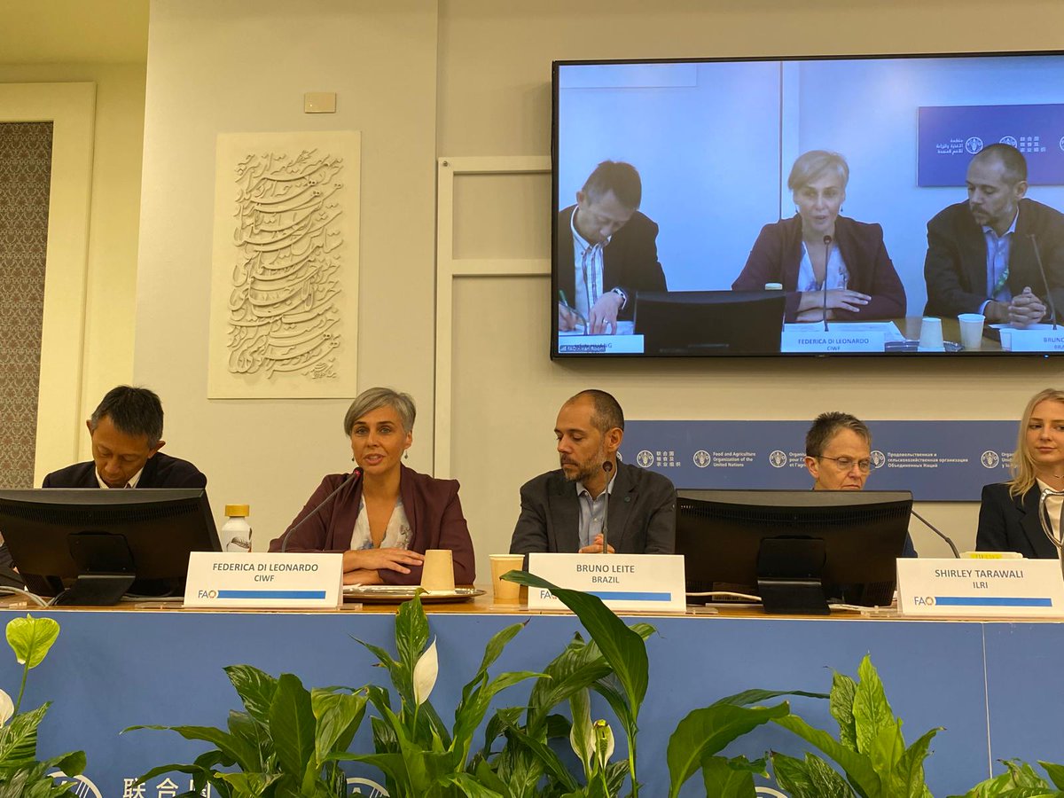 CIWF_Global's tweet photo. 🗣️ At the @FAO Conference today, Compassion’s Dr Christopher Browne moderated the Innovation Forum, while Federica di Leonardo spoke at the Global Agenda for Sustainable Livestock side event, calling for inclusive collaboration and a One Health approach. https://t.co/Z8TiUWqXup