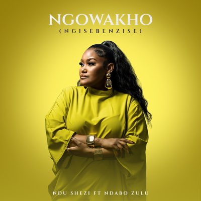 Ndu Shezi tweet media