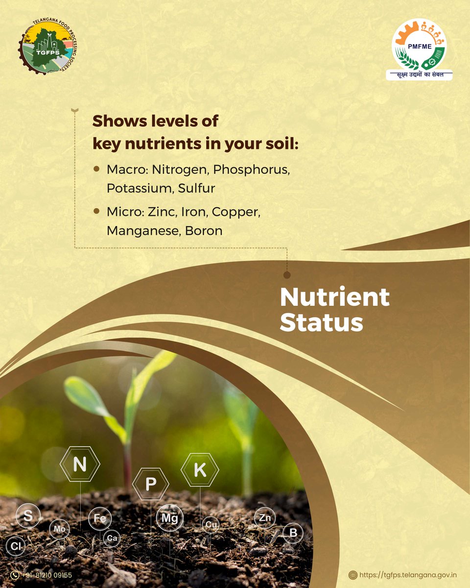PmfmeTelangana's tweet image. Healthy soils grow healthy crops 🌱 
The Soil Health Card helps farmers understand their land better and make informed choices for higher productivity. 
Discover  how it works! 

#PMFME #Telangana #PMFMEScheme #SoilManagement #CropYield  #SoilHealth #Agriculture #HealthySoils…