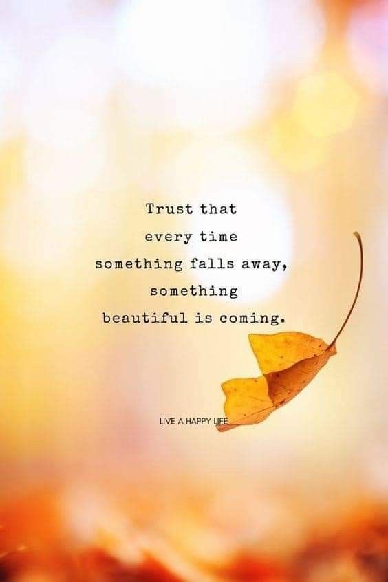 PositivitySaid's tweet photo. https://t.co/APkFKsdOsX