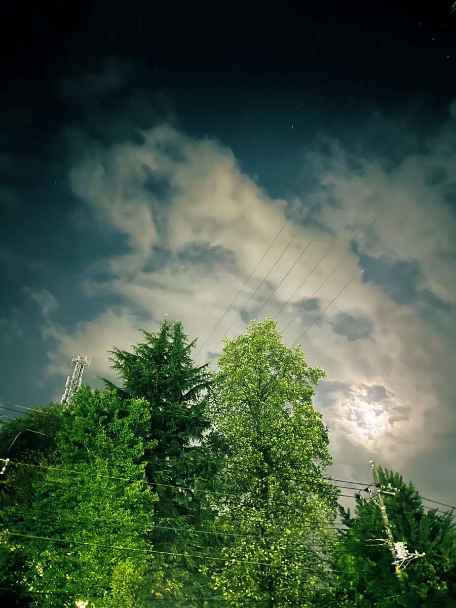 夜になると少し肌寒いかな
そんな夜はWINTER SONG
聴きながら黄昏るのが...スコ！😁w
お疲れ様でした🌙
＃ありあと
＃感謝