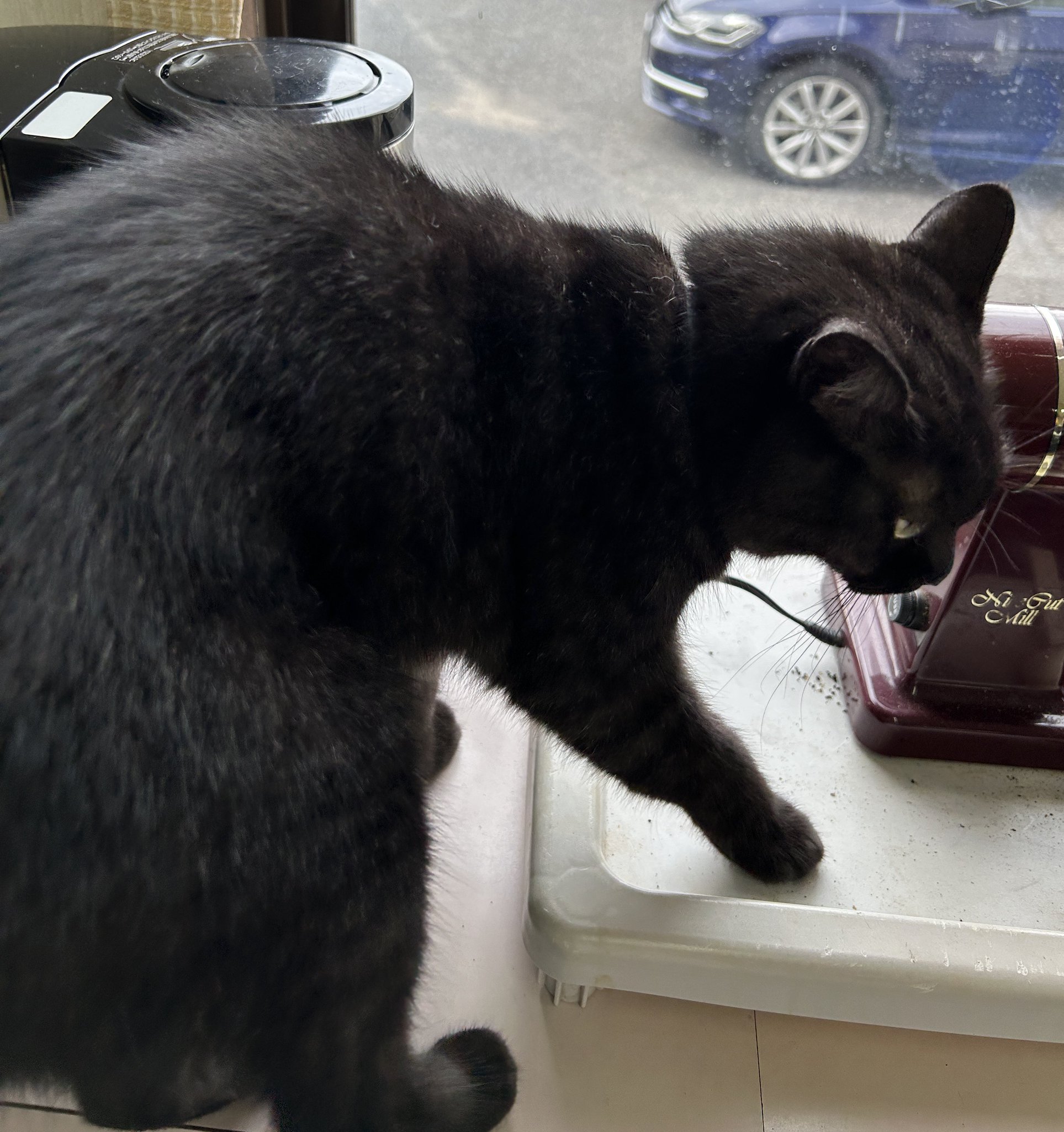 ♡黒猫( ΦωΦ )♡とまとめ 0_76e9ef7d3a633b9817ad95d4f80e