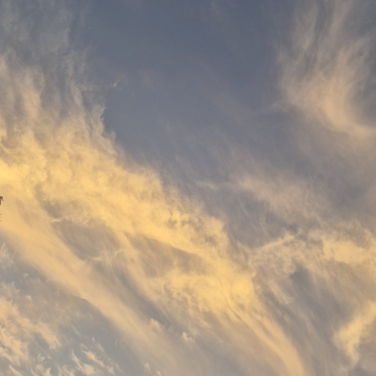 류(빵집착녀) tweet media