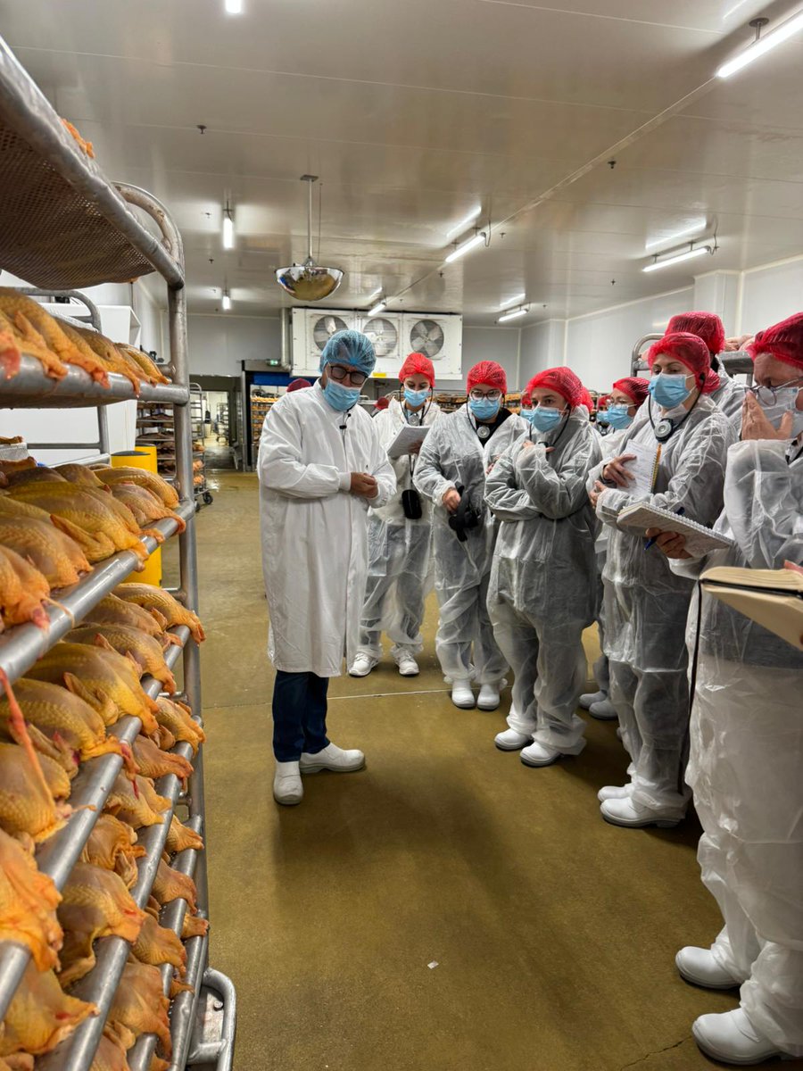 Image for the Tweet beginning: Chapons, poulardes et pintades festives,