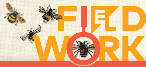 It’s here! 🌱 Introducing *FiELdwork*, our new bi-weekly newsletter—built to support educators all year long. First up: Back to School. Subscribe today: bit.ly/4gC5BbS #WeAreCrew #ELEducation #BackToSchool